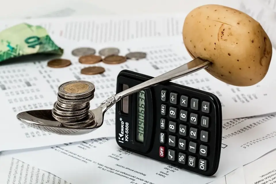Balance calculatrice et pièces : choisir son régime TVA
